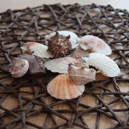 Konukevi Casa Del Mar