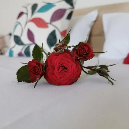 Gasthuis Casa Del Mar Primorsko