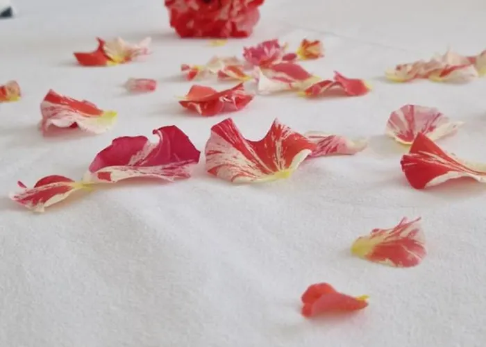 Casa Del Mar 3* Πριμόρσκο